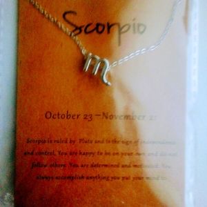 Zodiac Charm And Chain Scorpio